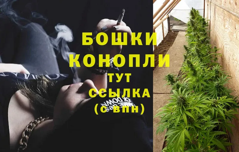 сколько стоит  Радужный  Бошки марихуана OG Kush 